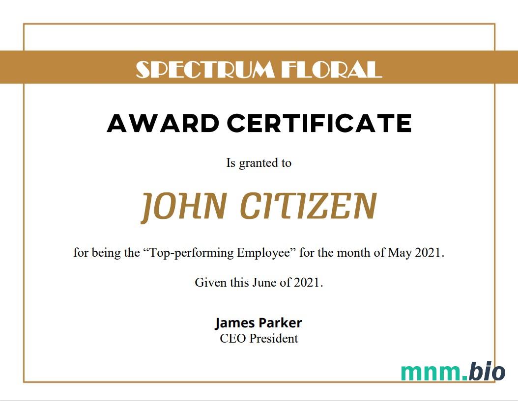 USA Award Certificate